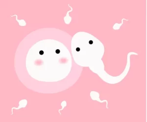 图片[2]-一代、二代和三代试管婴儿技术有什么不同？哪个成功率高？如何选择？ - 辅助生殖论坛-辅助生殖论坛