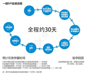 从促排到移植，2024年美国试管婴儿一图看懂全过程! - 辅助生殖论坛-辅助生殖论坛