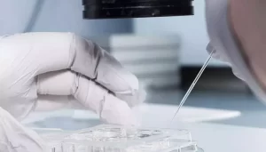 图片[3]-6个优势解读美国试管婴儿~ - 辅助生殖论坛-辅助生殖论坛