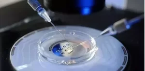 图片[5]-6个优势解读美国试管婴儿~ - 辅助生殖论坛-辅助生殖论坛