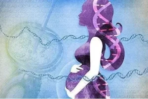 图片[2]-美国试管婴儿技术如何？在美国试管有哪些优势？ - 辅助生殖论坛-辅助生殖论坛