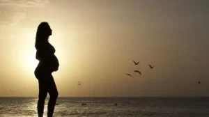 图片[3]-全球代孕国家盘点分析,美国代孕等海外国家这些流程 - 辅助生殖论坛-辅助生殖论坛