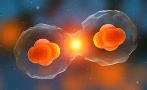 图片[3]-美国试管婴儿技术如何？在美国试管有哪些优势？ - 辅助生殖论坛-辅助生殖论坛