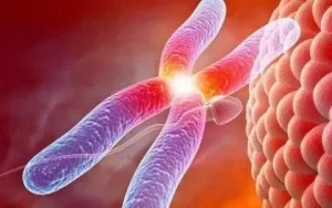 图片[5]-美国试管婴儿技术如何？在美国试管有哪些优势？ - 辅助生殖论坛-辅助生殖论坛