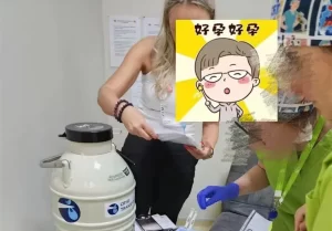 图片[1]-美国辅助生殖流程、时间、费用和相关知识介绍！ - 辅助生殖论坛-辅助生殖论坛