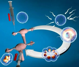 图片[2]-新年!伊朗试管辅助生殖技术代孕,让好孕更旺! - 辅助生殖论坛-辅助生殖论坛