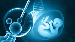 图片[2]-代孕及其运作方式 - 辅助生殖论坛-辅助生殖论坛