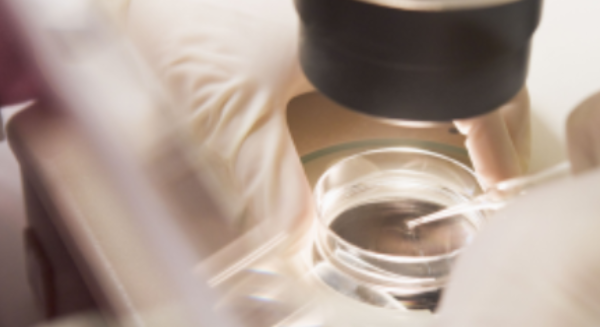 图片[2]-从中国赴美试管做哪些检查？ - 辅助生殖论坛-辅助生殖论坛