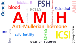 女性 AMH 水平和生育能力 - 辅助生殖论坛-辅助生殖论坛