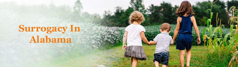 阿拉巴马州代孕