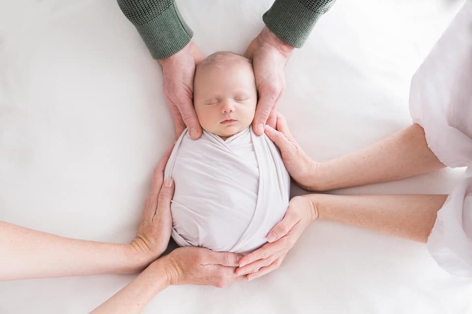 图片[2]-美国代孕 - 辅助生殖论坛-辅助生殖论坛