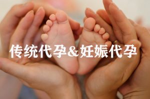 什么是传统代孕与妊娠代孕？有何区别？ - 辅助生殖论坛-辅助生殖论坛