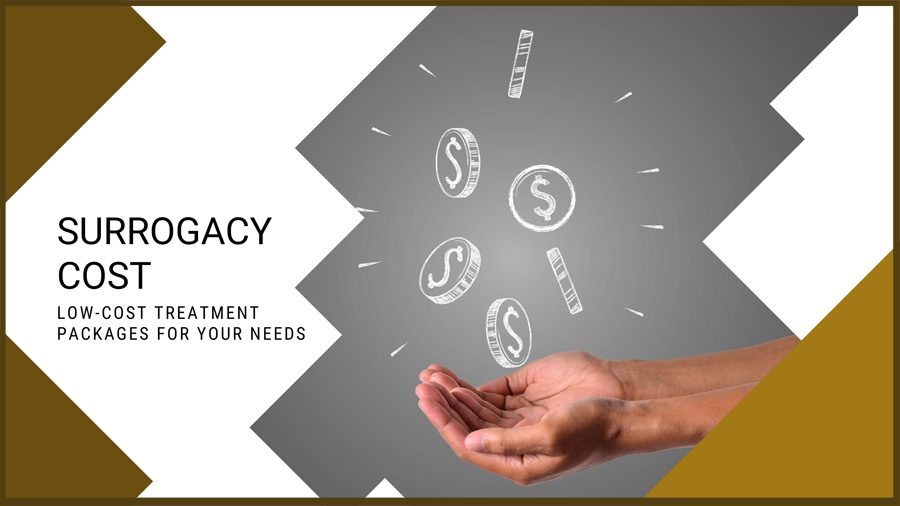 格鲁吉亚代孕费用