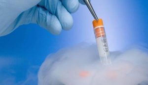 图片[5]-中国代孕合法吗？中国代孕法律现状解析 - 辅助生殖论坛-辅助生殖论坛