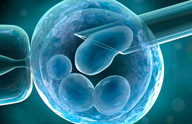 吉尔吉斯斯坦代孕