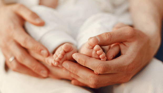 哥伦比亚的同性恋代孕