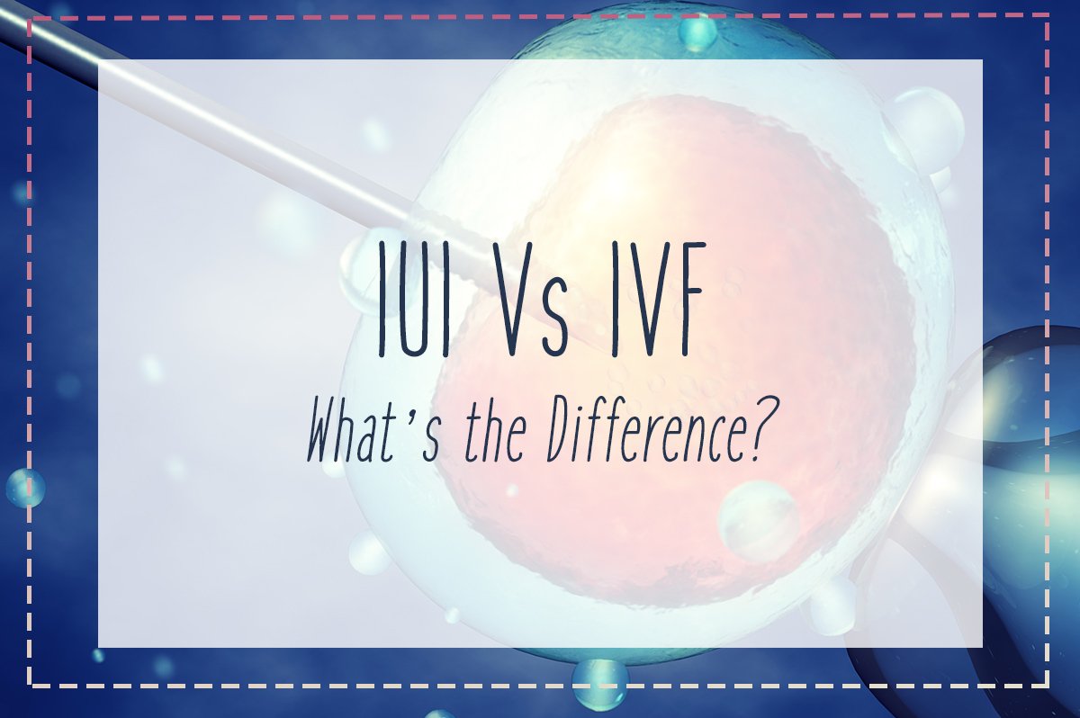 IUI 与 IVF – 何时使用代孕？ - 辅助生殖论坛-辅助生殖论坛