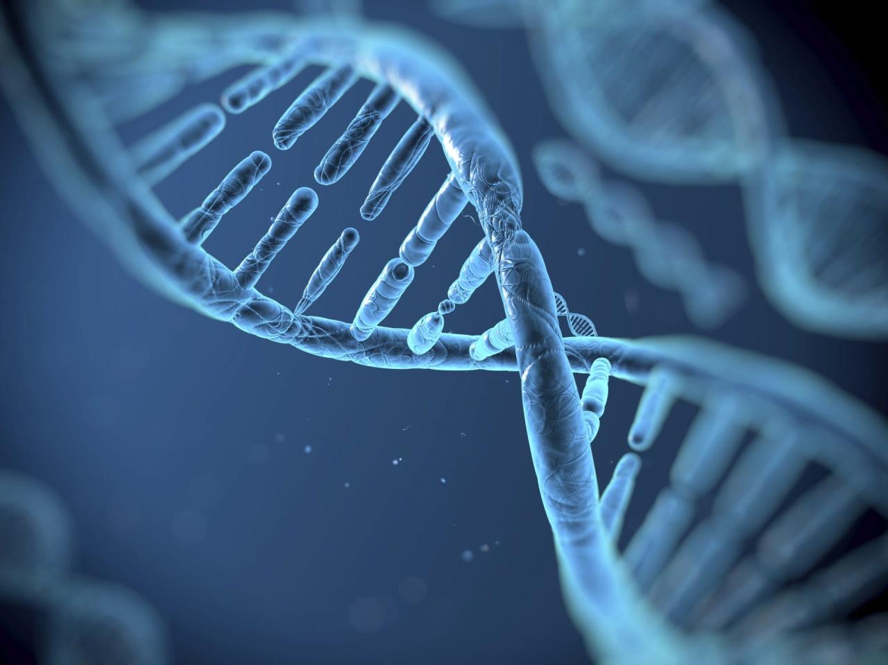 What does DNA stand for? Structure, function, types, replication