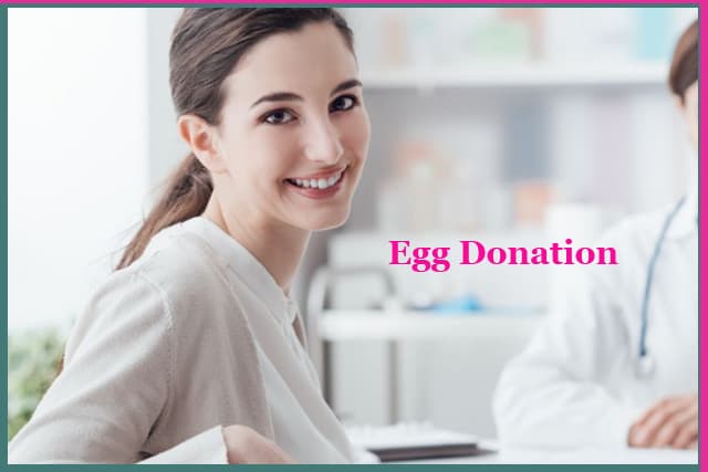 阿根廷的卵子捐赠银行