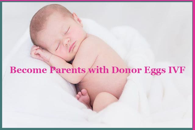 阿根廷的卵子捐赠者