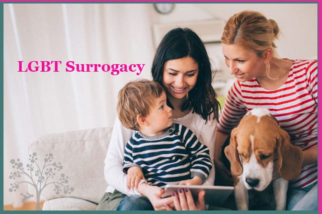 塞浦路斯同性恋夫妇代孕