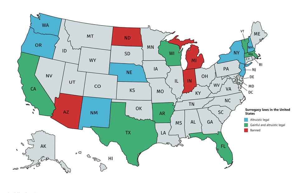 美国有偿代孕的合法性：详细见解 - 辅助生殖论坛-辅助生殖论坛