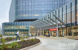 图片[2]-代孕合法化的国家要多少钱？为何要选中介机构？ - 辅助生殖论坛-辅助生殖论坛