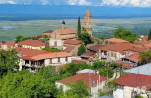 图片[4]-格鲁吉亚卫生部：每年代孕婴儿2000个，只许利他代孕 - 辅助生殖论坛-辅助生殖论坛