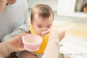 了解试管婴儿代孕技术：适用人群及流程特点 - 辅助生殖论坛-辅助生殖论坛