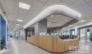 图片[5]-代孕合法化的国家要多少钱？为何要选中介机构？ - 辅助生殖论坛-辅助生殖论坛