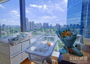 图片[6]-哥伦比亚律师谈代孕现象：不禁则许，有严格的要求 - 辅助生殖论坛-辅助生殖论坛