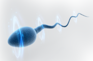 图片[2]-泰国将允许同性伴侣合法代孕？草案将提交审议 - 辅助生殖论坛-辅助生殖论坛