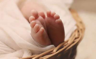 瓦希的 IVF 费用 - 辅助生殖论坛-辅助生殖论坛