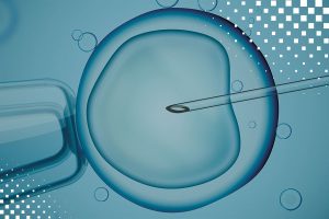 体外受精 (IVF)/卵胞浆内单精子注射 (ICSI) - 辅助生殖论坛-辅助生殖论坛