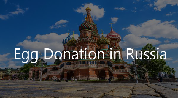 俄罗斯的试管婴儿