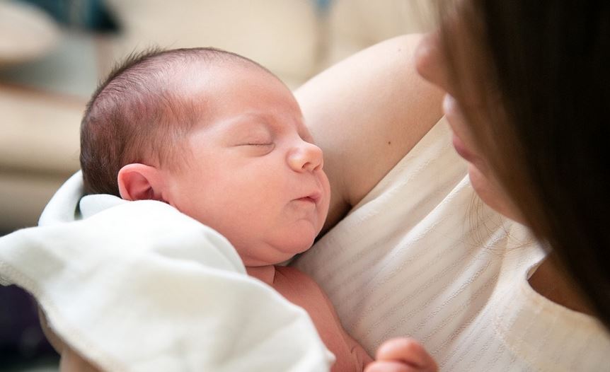 旁遮普巴格的 IVF 费用