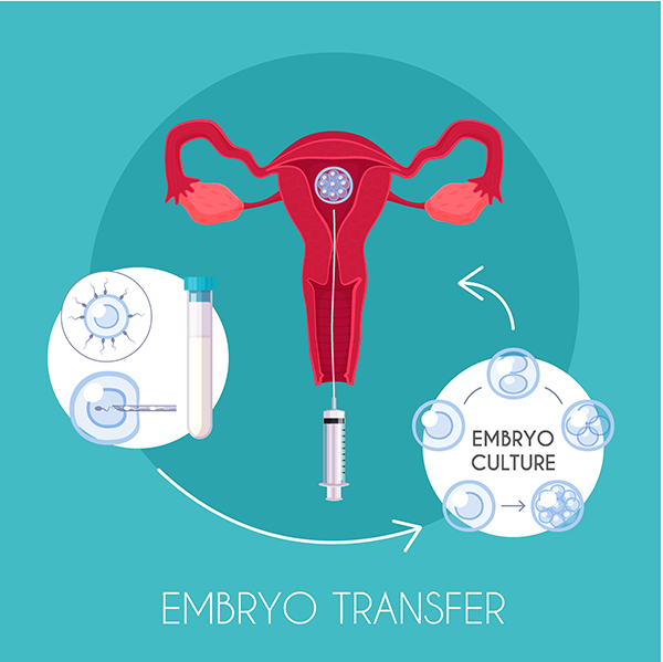 阿根廷的试管婴儿中心