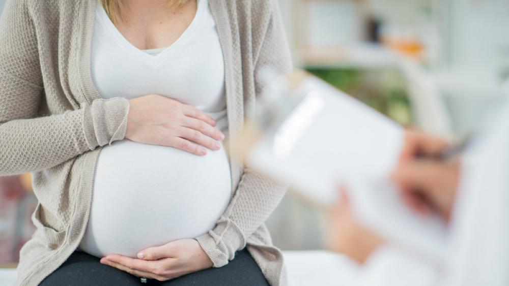 阿根廷代孕妈妈的费用