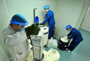 图片[5]-泰国再调“代孕合法化”惹争议，将允许外籍情侣赴泰代孕！ - 辅助生殖论坛-辅助生殖论坛