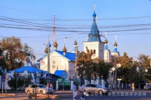 代孕合法国家，吉尔吉斯斯坦代孕成功率到底怎么样？ - 辅助生殖论坛-辅助生殖论坛