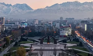 图片[2]-2024年海外合法代孕有哪些国家？哪些国家政策比较好可以夫妻，单身都可以操作？ - 辅助生殖论坛-辅助生殖论坛