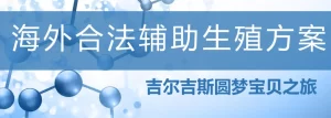 海外代孕选择哪个国家比较好？ - 辅助生殖论坛-辅助生殖论坛