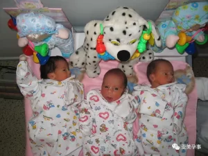 图片[2]-单身男士的父爱之旅：吉尔吉斯斯坦代孕流程全解析 - 辅助生殖论坛-辅助生殖论坛