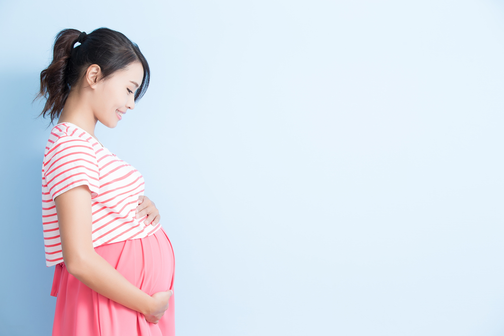 New Law in Portugal May Allow for Surrogacy | The Surrogacy Law Center
