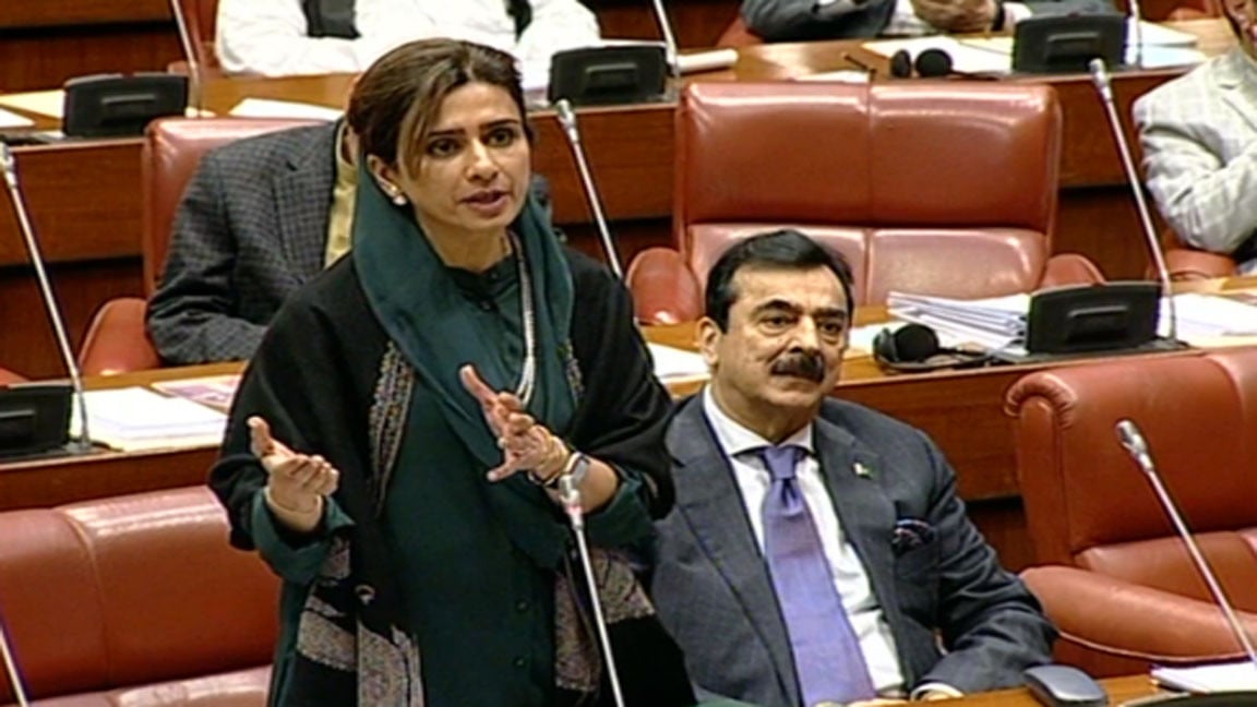 No back-channel talks with India, Senate told