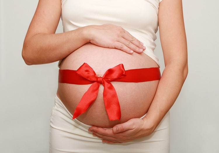THE LAW REGULATING SURROGACY AGREEMENTS IN SOUTH AFRICA ...