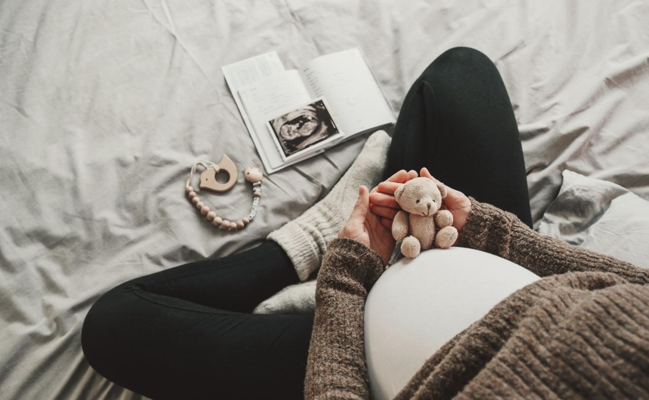 What is Surrogacy in South African Law? Burger Huyser Attorneys