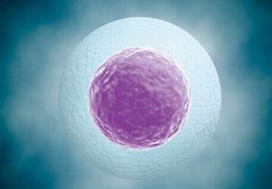 图片[8]-乌克兰代孕合法吗？2024乌克兰代孕价格、现状解读（含完美替代攻略） - 辅助生殖论坛-辅助生殖论坛