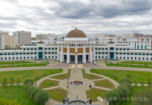 图片[2]-哈萨克斯坦代孕合法化背后的原因解析 - 辅助生殖论坛-辅助生殖论坛