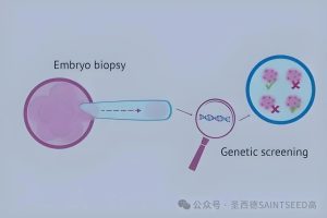 图片[3]-成功率超高的亚洲代孕明星——泰国 - 辅助生殖论坛-辅助生殖论坛